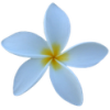 Jasmine ICQ для Android